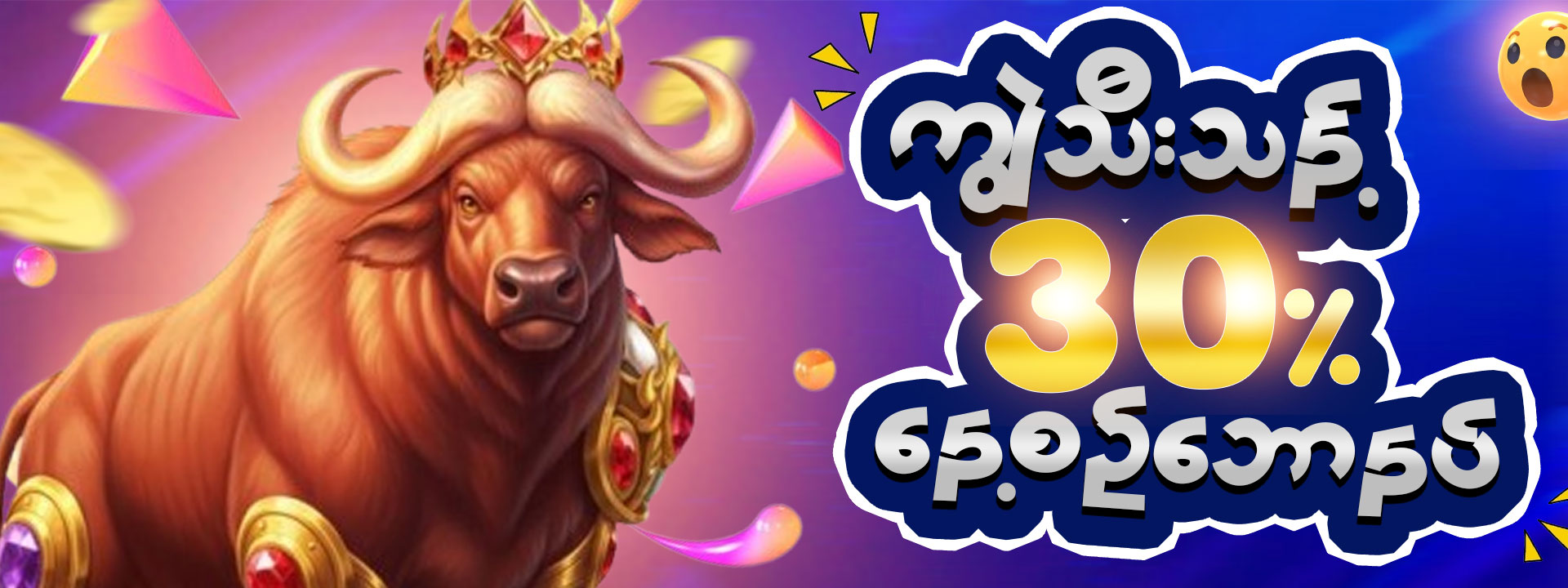 Promo Banner